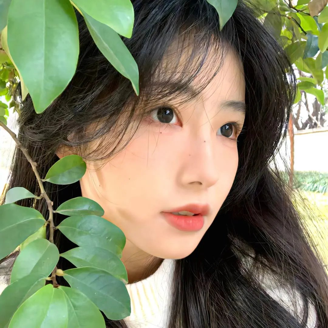 拳王梦